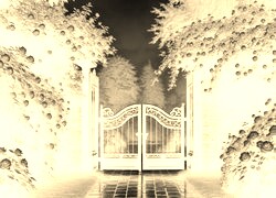 Sepia + Negatyw