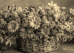 Szary + Sepia