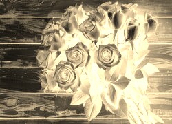 Sepia + Negatyw