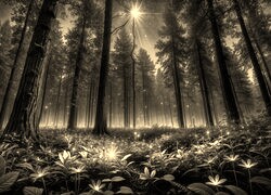 Sepia