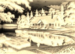 Sepia + Negatyw