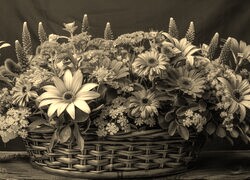 Szary + Sepia