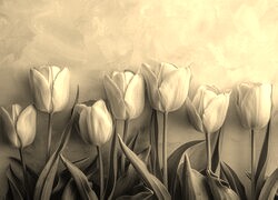 Szary + Sepia