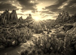 Sepia