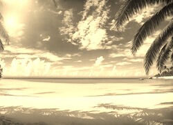 Szary + Sepia
