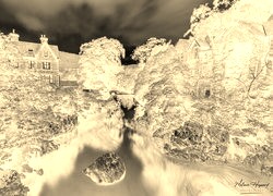 Sepia + Negatyw