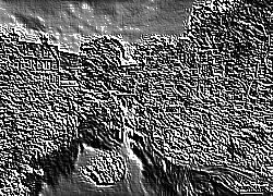 Skamielina