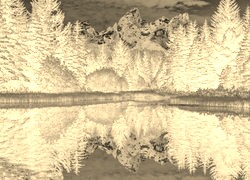 Sepia + Negatyw