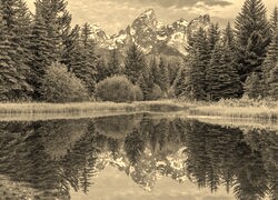 Sepia