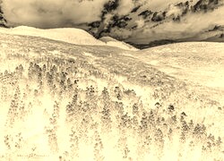 Sepia + Negatyw