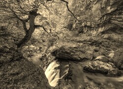 Sepia