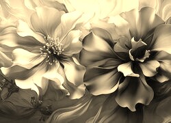 Szary + Sepia