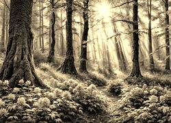 Sepia