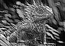 Skamielina