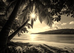 Sepia