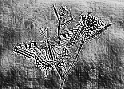 Skamielina