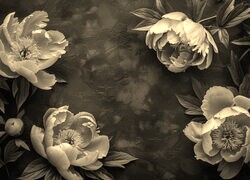 Szary + Sepia