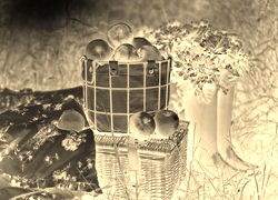 Sepia + Negatyw