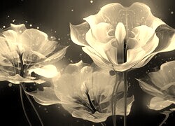 Szary + Sepia