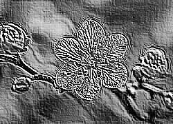 Skamielina