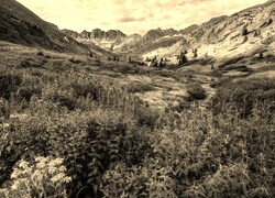 Szary + Sepia