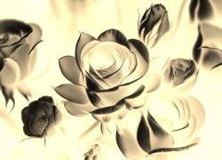 Sepia + Negatyw