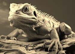 Sepia