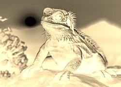 Sepia + Negatyw