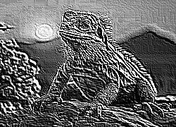Skamielina
