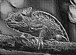 Skamielina