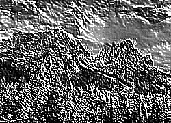 Skamielina
