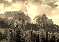 Szary + Sepia