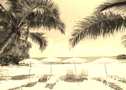 Szary + Sepia