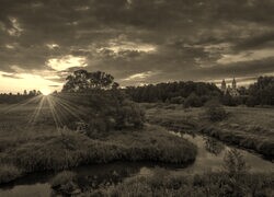 Szary + Sepia