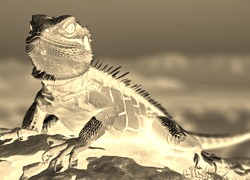 Sepia + Negatyw