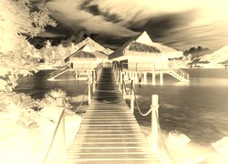 Sepia + Negatyw