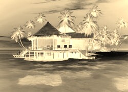 Sepia + Negatyw