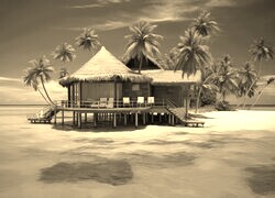 Szary + Sepia