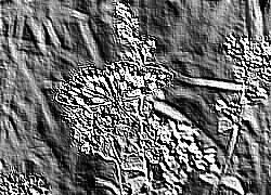 Skamielina