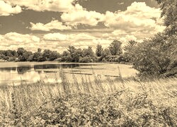 Szary + Sepia
