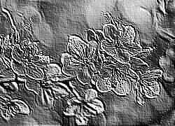 Skamielina