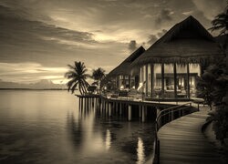 Sepia