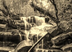 Sepia