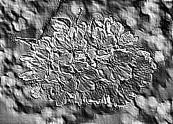Skamielina