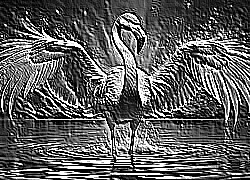 Skamielina