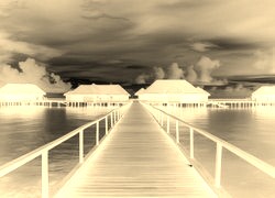 Sepia + Negatyw
