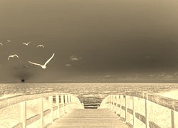 Sepia + Negatyw