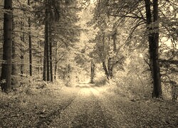 Sepia