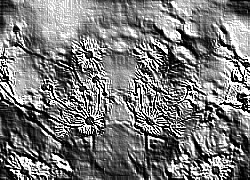Skamielina