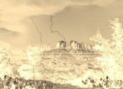 Sepia + Negatyw